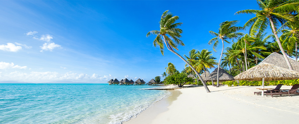 Imagem de uma praia tropical com areia branca e fina, banhada por águas cristalinas de tom azul turquesa. Altas palmeiras inclinadas em direção ao mar oferecem sombra natural. À direita, há cabanas de palha com espreguiçadeiras de madeira. Ao fundo, sobre a água, vê-se bangalôs elevados sobre estacas, que parecem pertencer a um resort luxuoso. O céu está azul com poucas nuvens brancas, compondo uma paisagem serena e paradisíaca.
