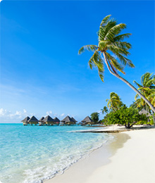 Praias caribenhas em uma ilha paradisíaca.