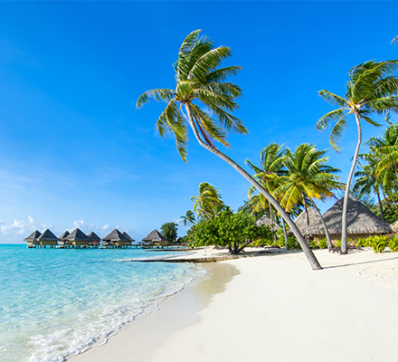 Imagem de uma praia tropical com areia branca e fina, banhada por águas cristalinas de tom azul turquesa. Altas palmeiras inclinadas em direção ao mar oferecem sombra natural. À direita, há cabanas de palha com espreguiçadeiras de madeira. Ao fundo, sobre a água, vê-se bangalôs elevados sobre estacas, que parecem pertencer a um resort luxuoso. O céu está azul com poucas nuvens brancas, compondo uma paisagem serena e paradisíaca.